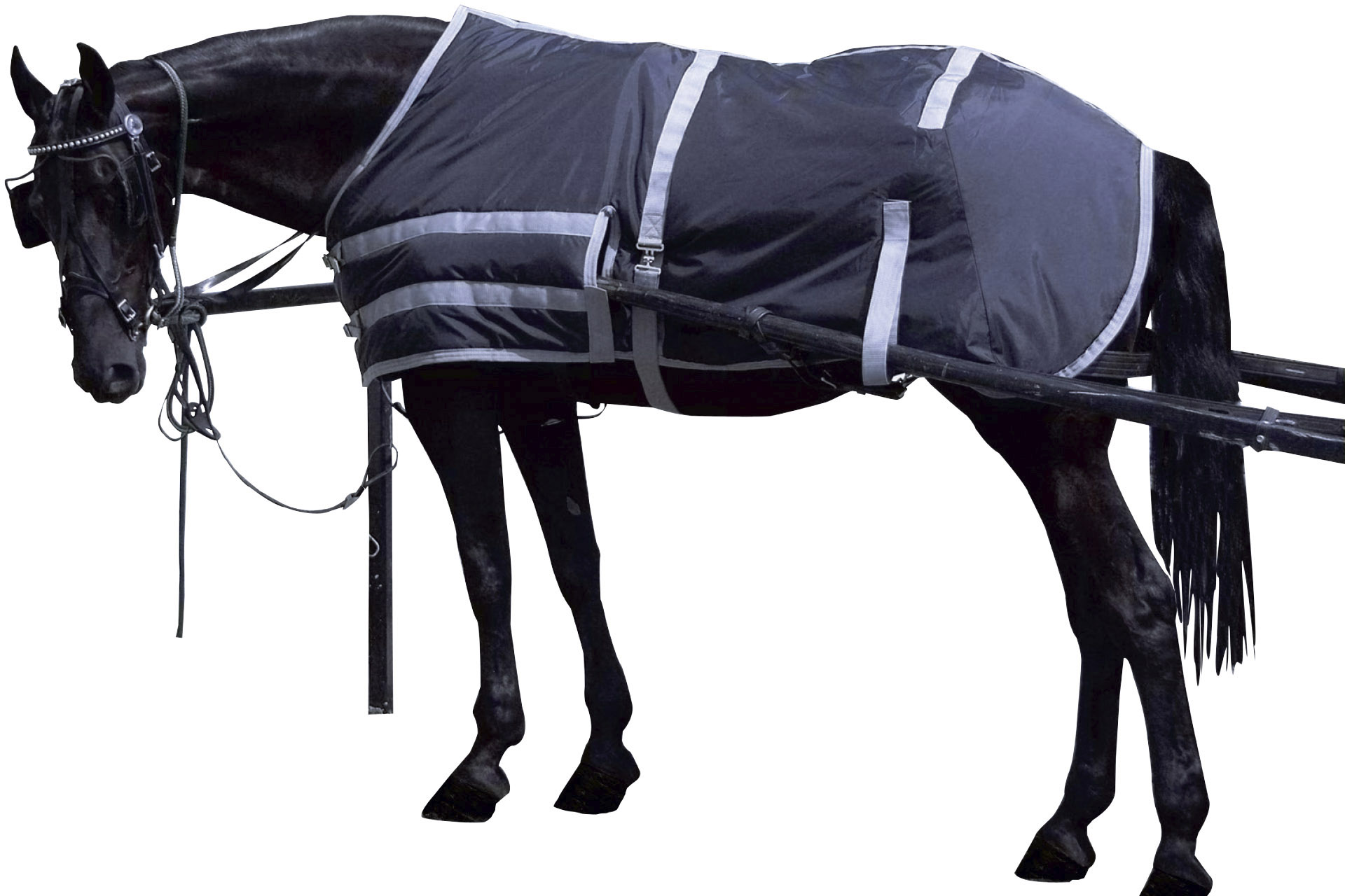 horse security blanket